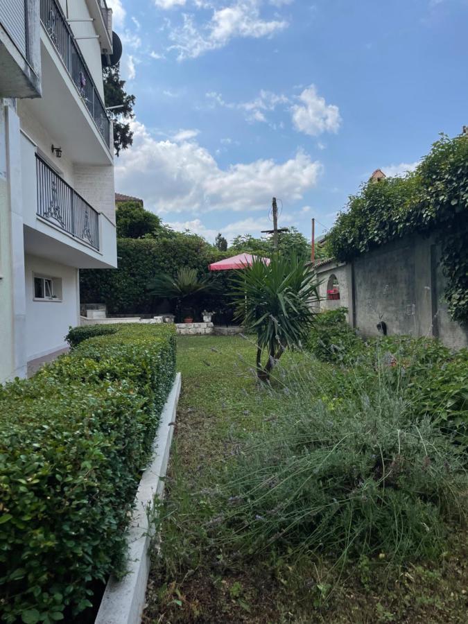 Apartment Garden Kotor Exteriér fotografie